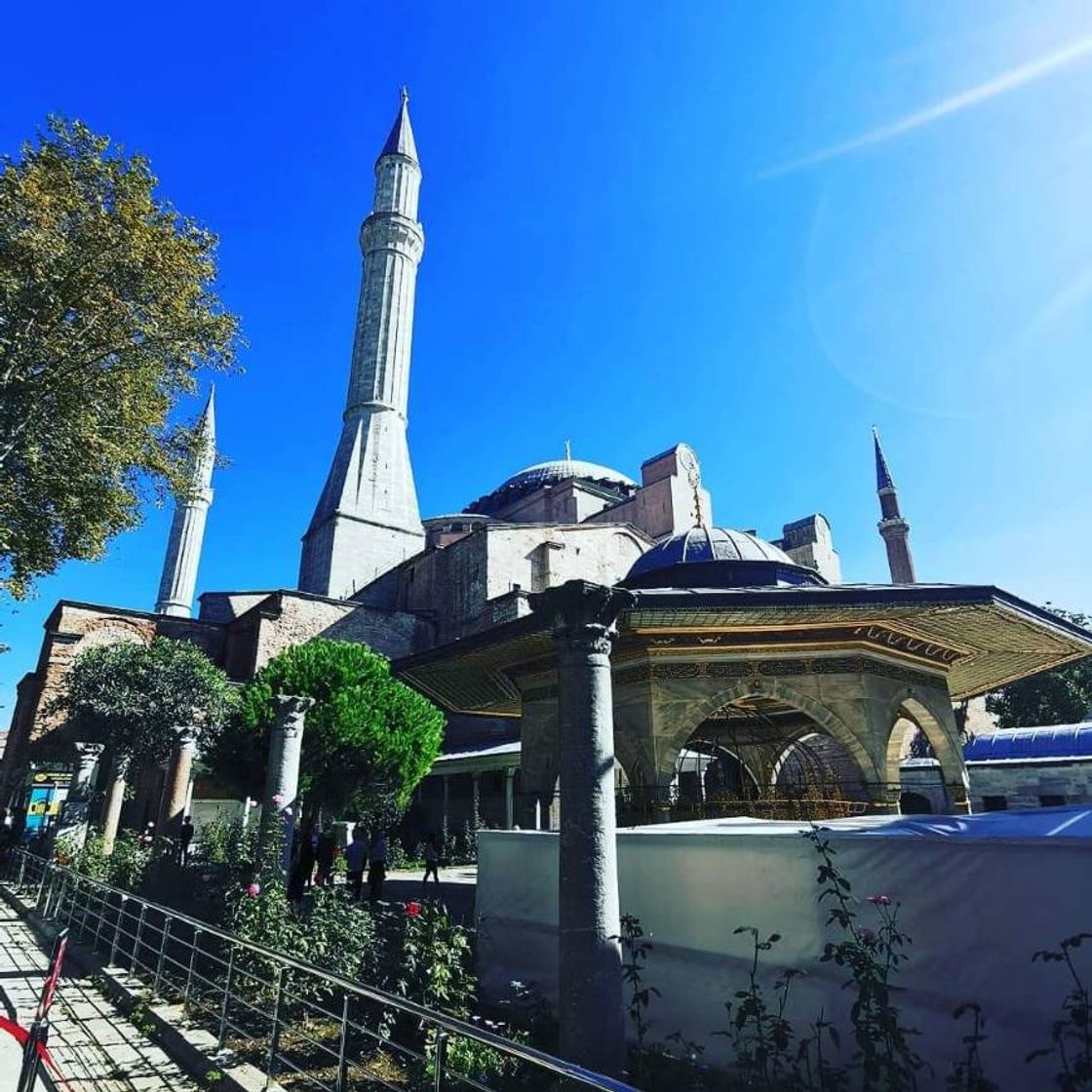 Lugar Blue mosque