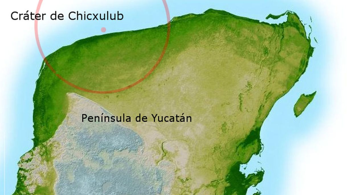 Moda Rápida recuperación de vida en cráter de Chicxulub