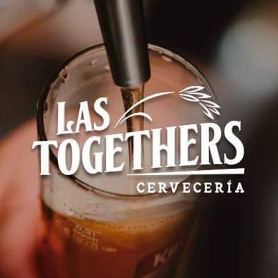 Restaurantes Cervecería Las Togethers