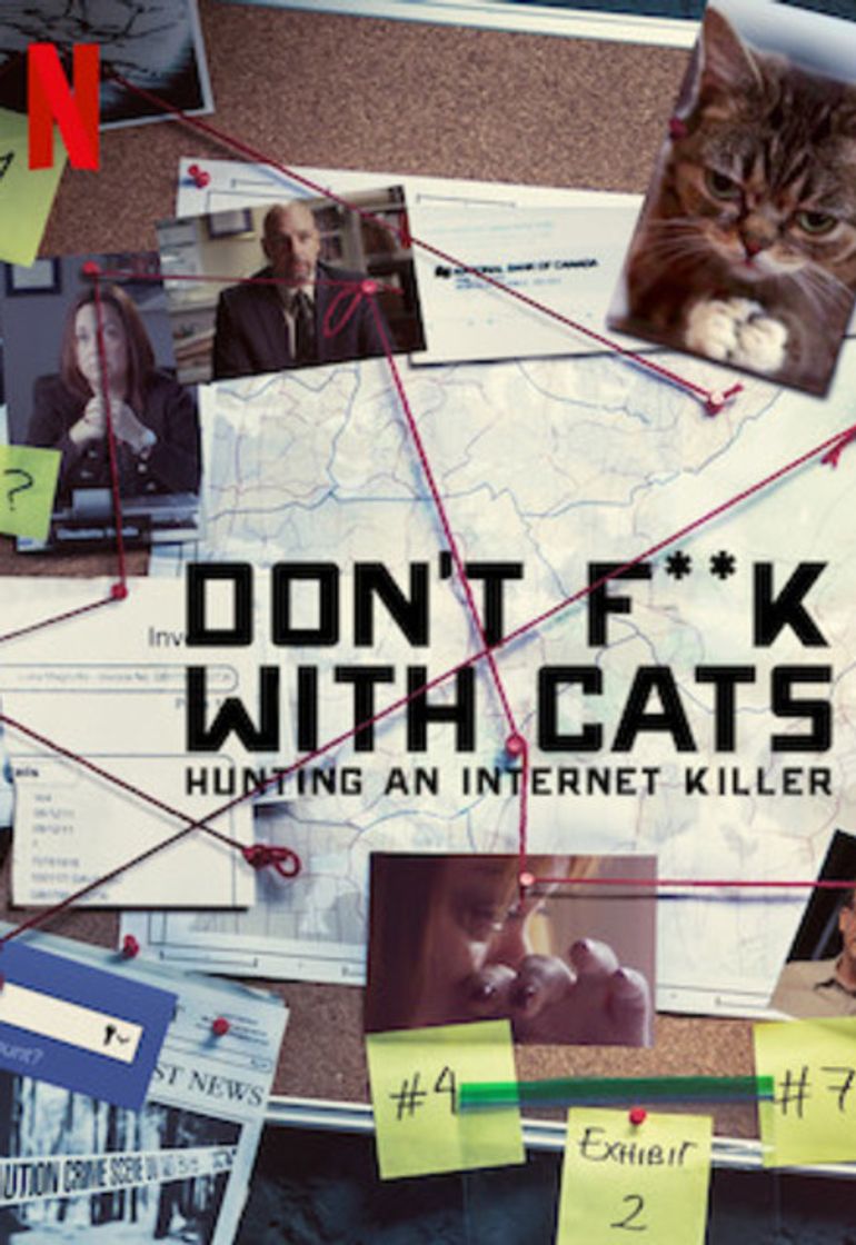 Don’t f**k with cats

