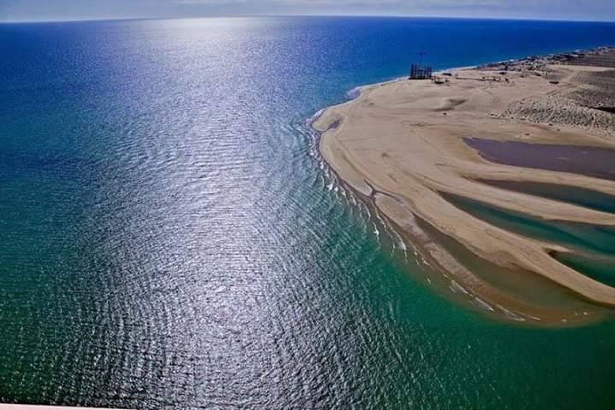 Restaurantes Puerto Peñasco