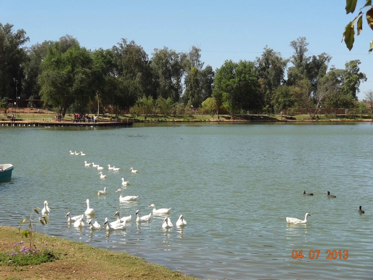 Lugar Laguna Nainari