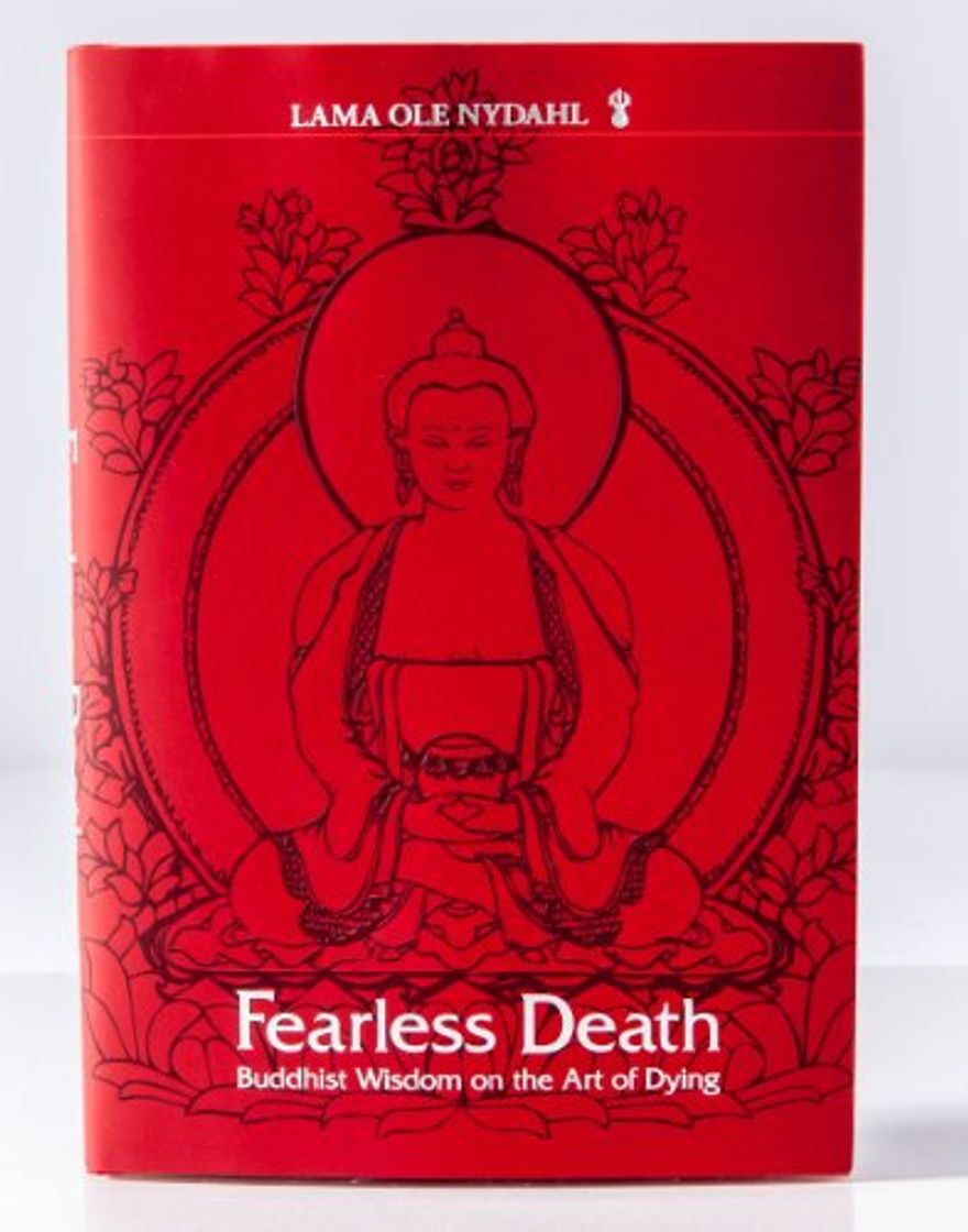 Books Fearless Death - Buddhist Wisdom on the Art of Dying