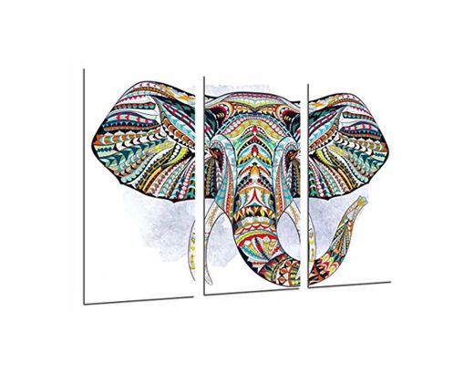 Cuadros Cámara Cuadro Fotográfico Decoracion Mandala Animal Elefante
