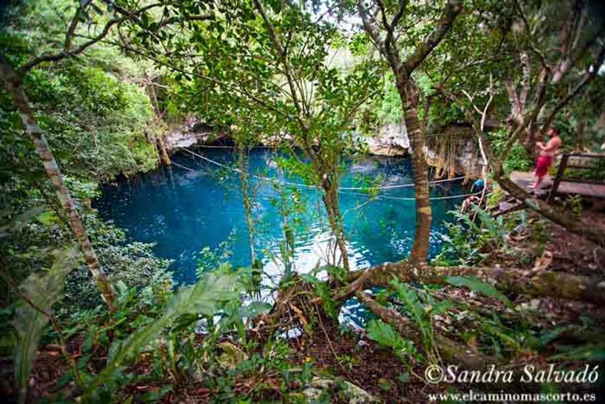 Lugar Ruta de los cenotes, puerto morelos Qroo