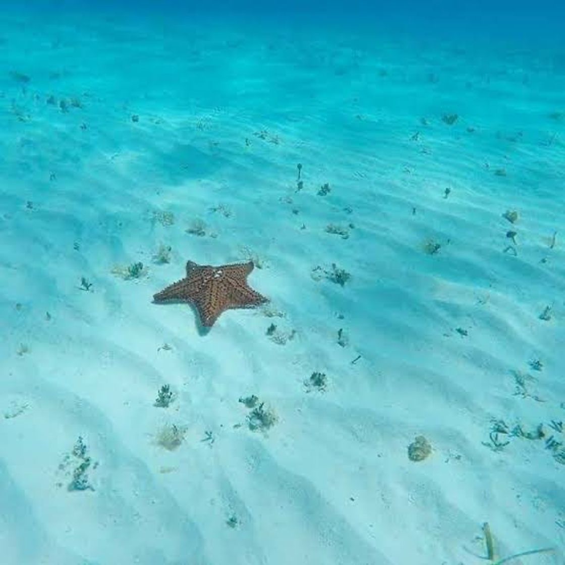 Lugar Cozumel