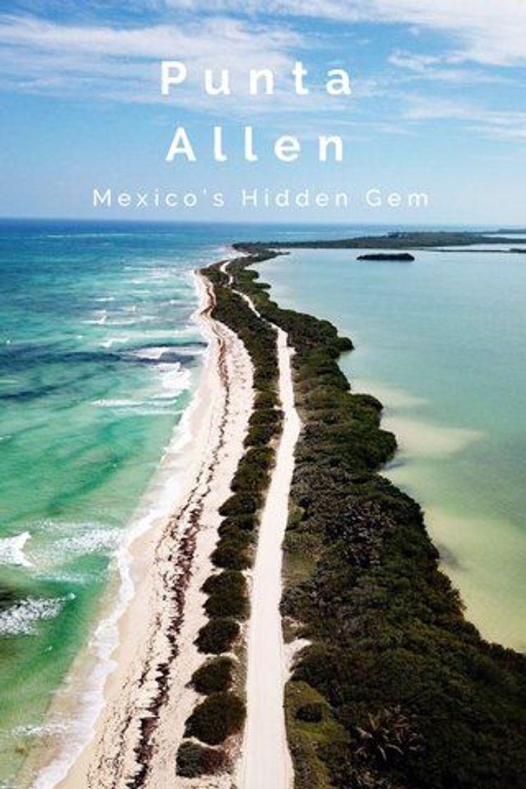 Lugar Punta Allen