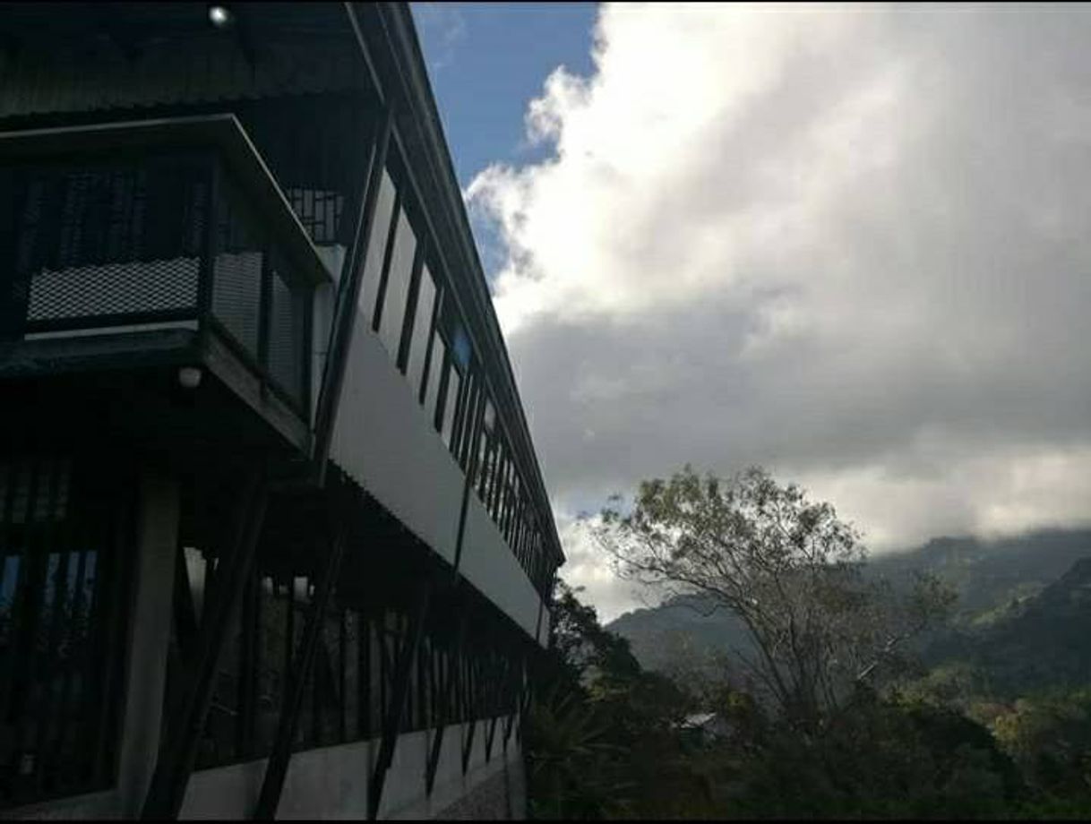 Restaurants Restaurante de carnes Donde Alcides