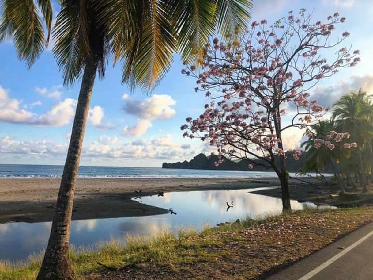 Place Playa Carrillo