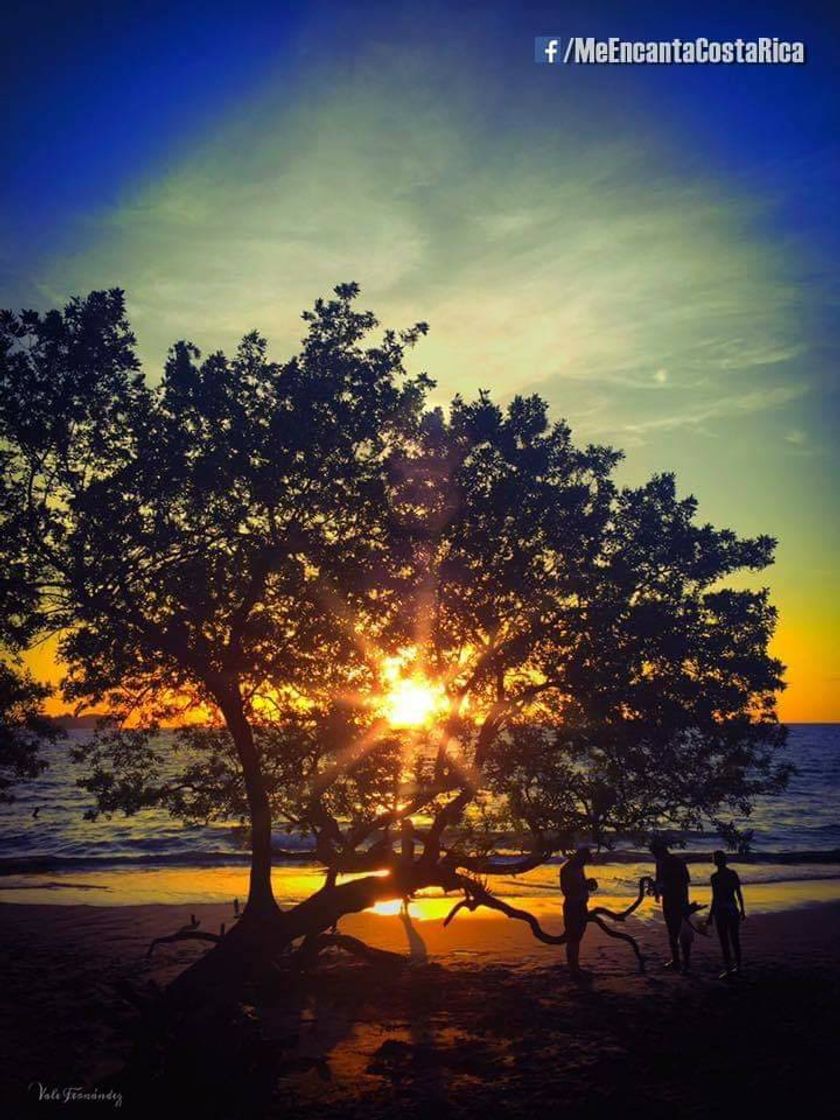 Place Playa Hermosa
