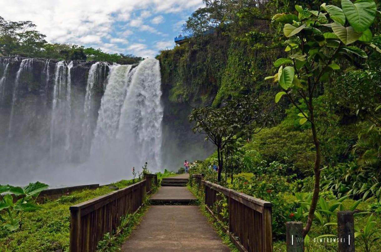 Lugar Cascada El Salto de Eyipantla