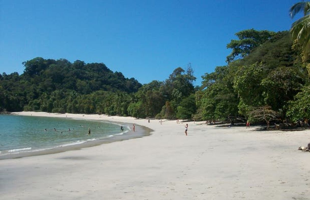 Lugar Manuel Antonio