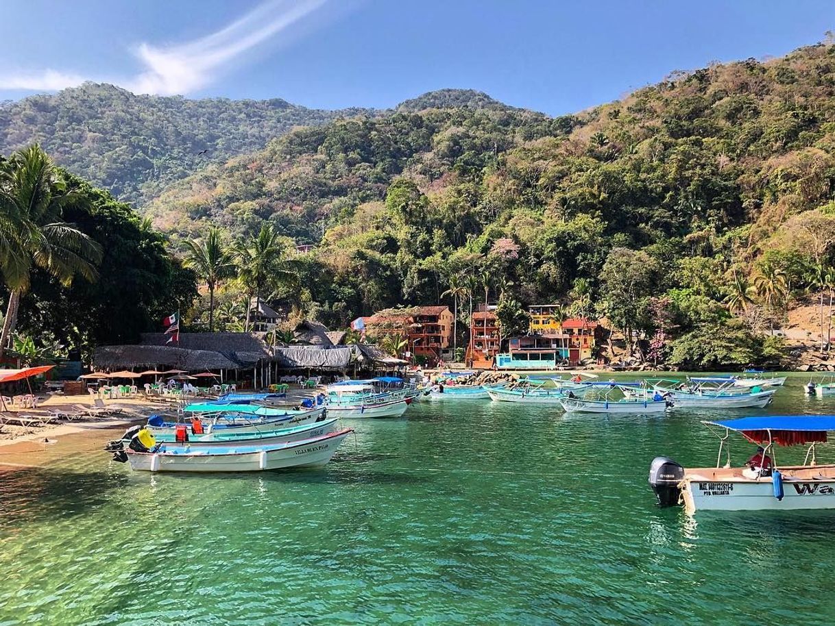 Restaurantes Tomatlán