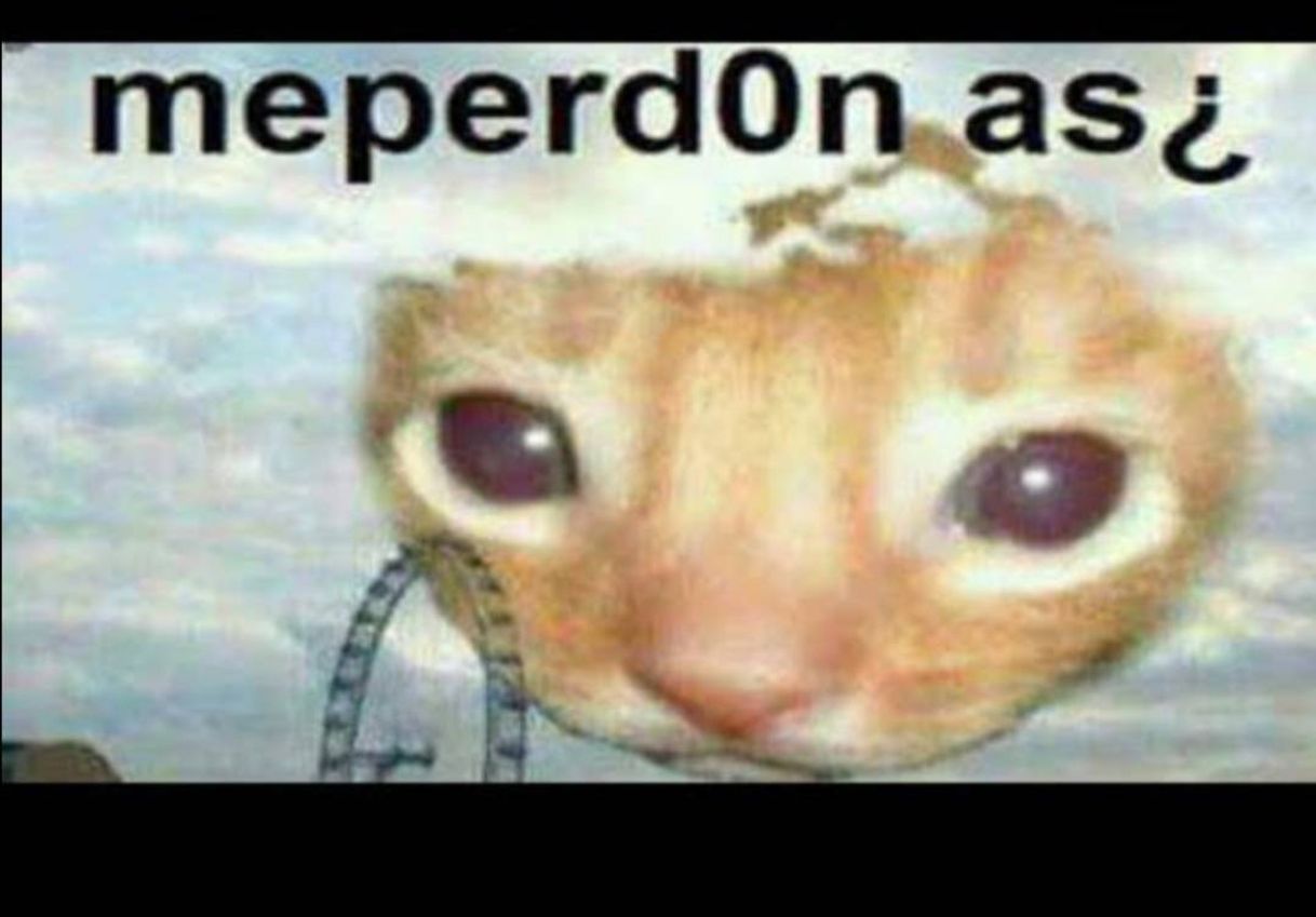 Social Playlist canciones para arrastrarse hasta el subsuelo....