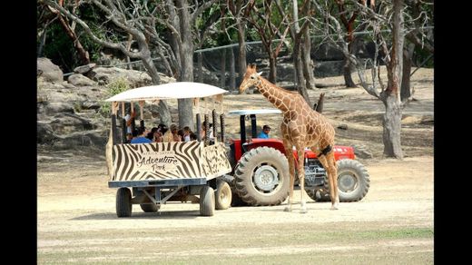 África Safari Costa Rica