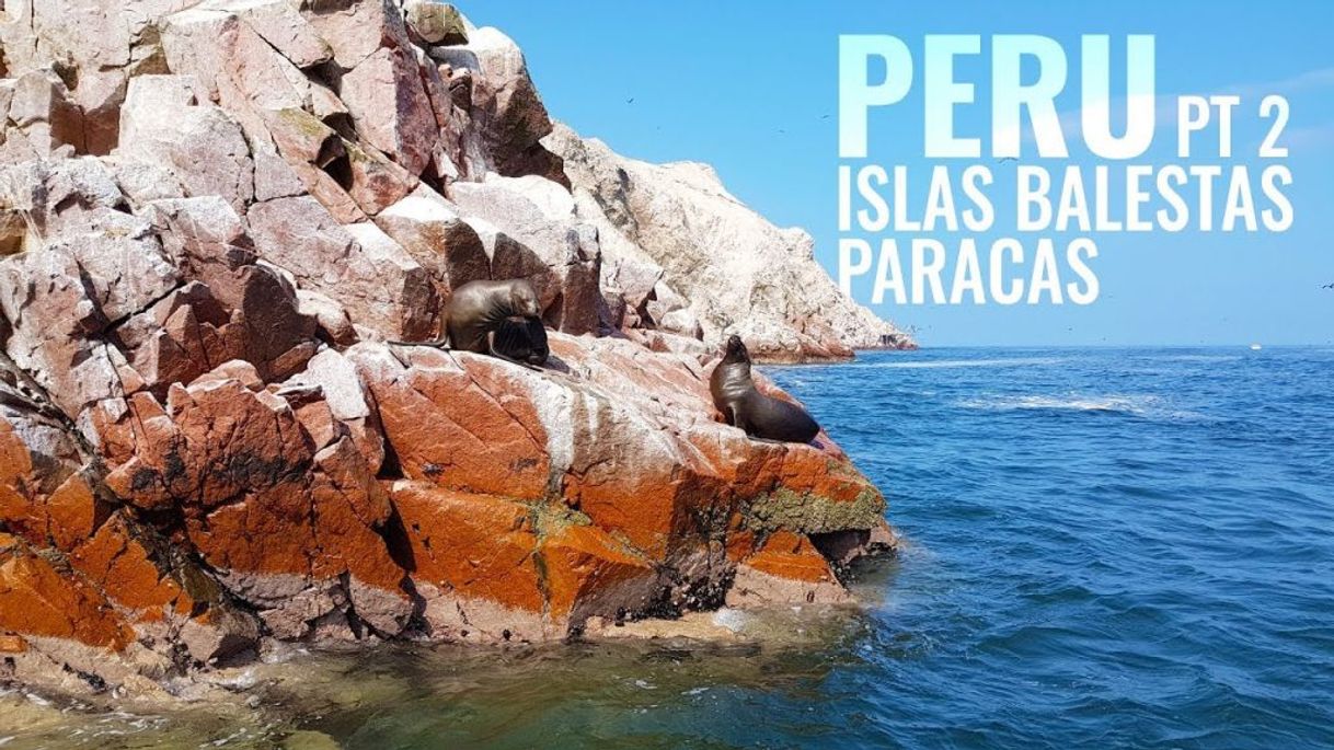 Place Islas Ballestas