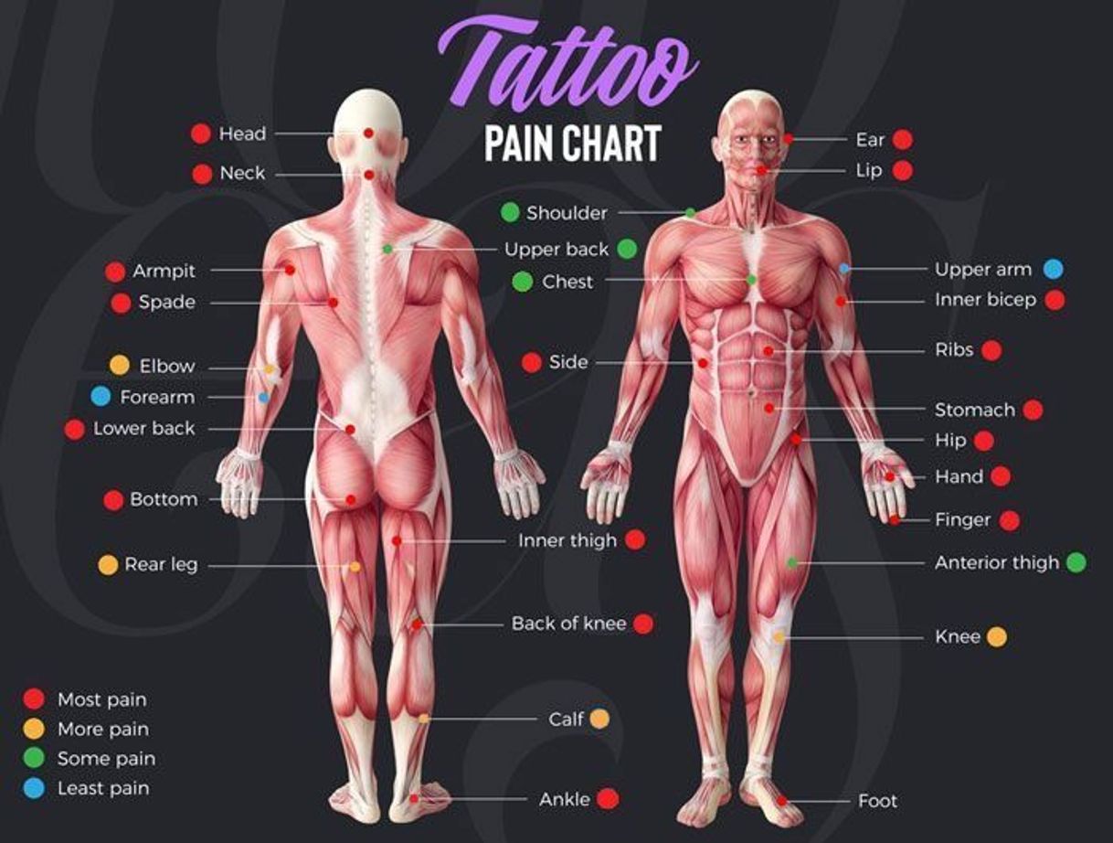 Moda Lugares más dolorosos para tatuarse 💉