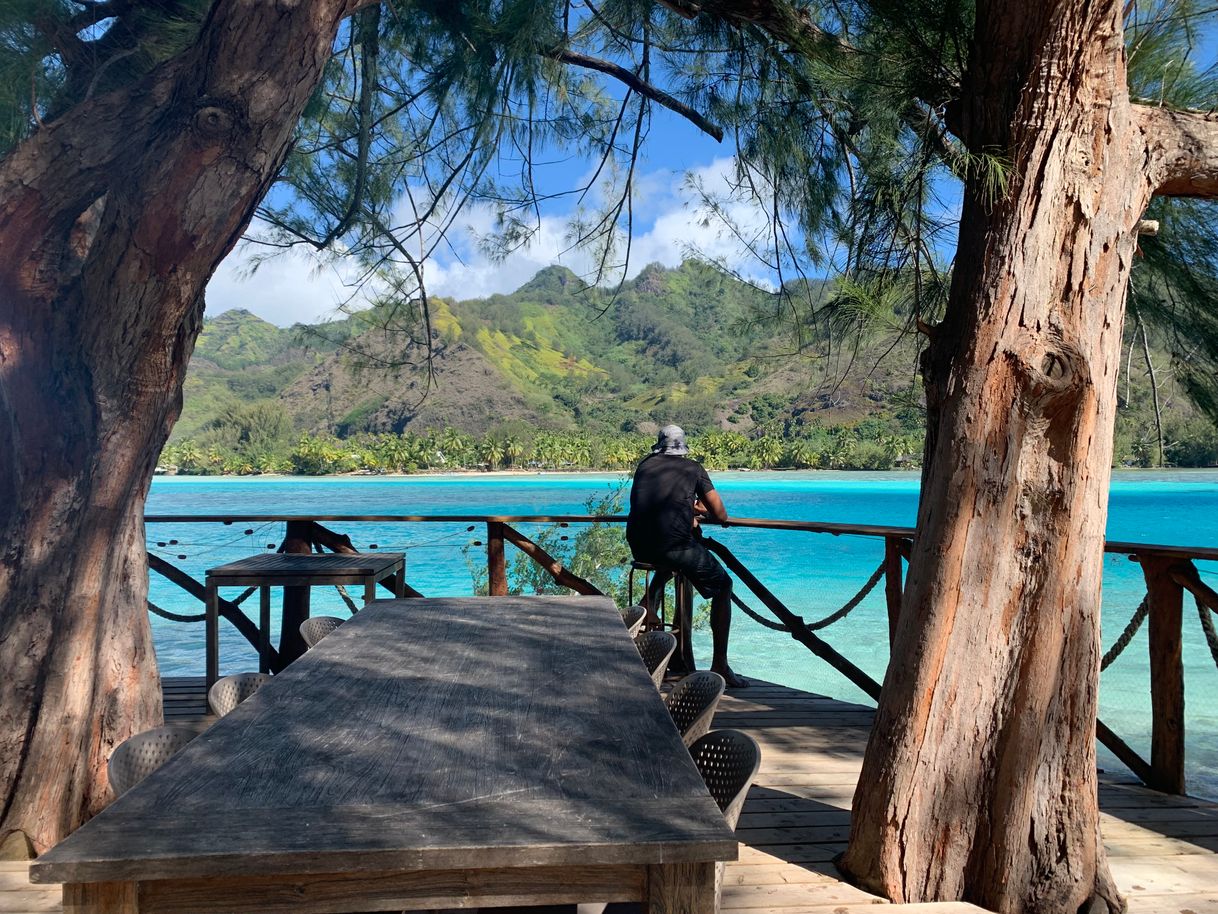 Restaurants Coco beach Moorea