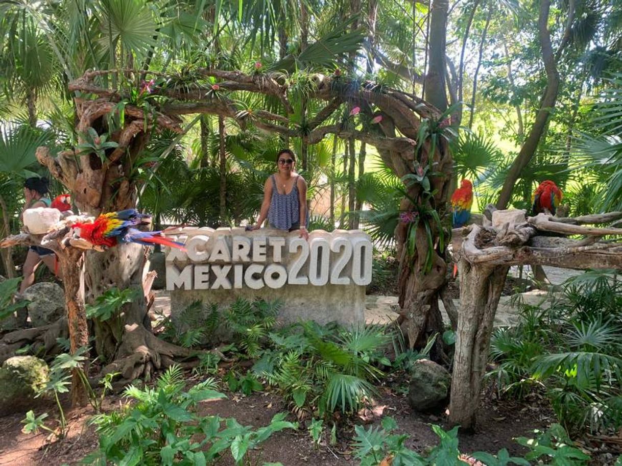 Lugar XCARET