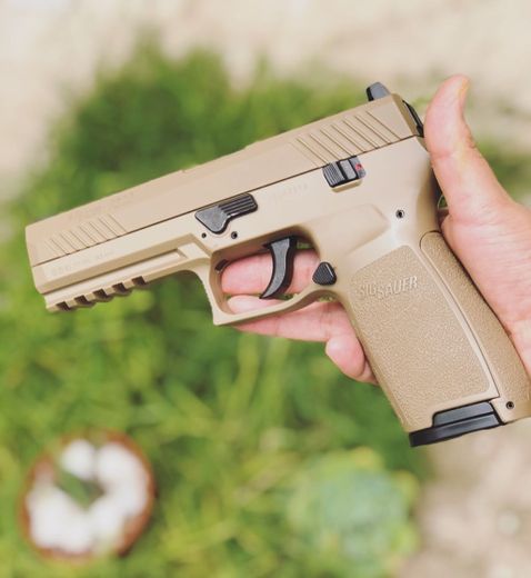 Sig Sauer P320 Diabolos Y Postas Blowback Coyote Tan Msi