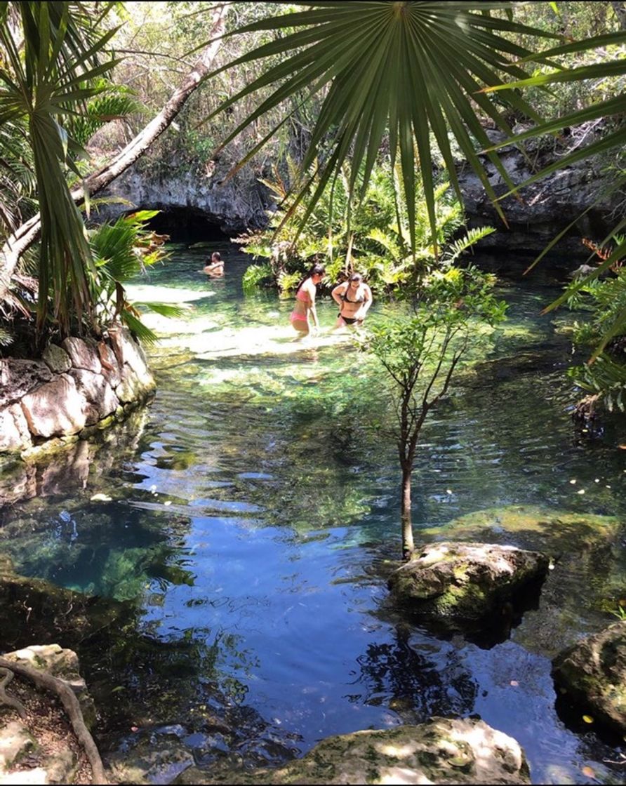 Lugar Cenote Azul