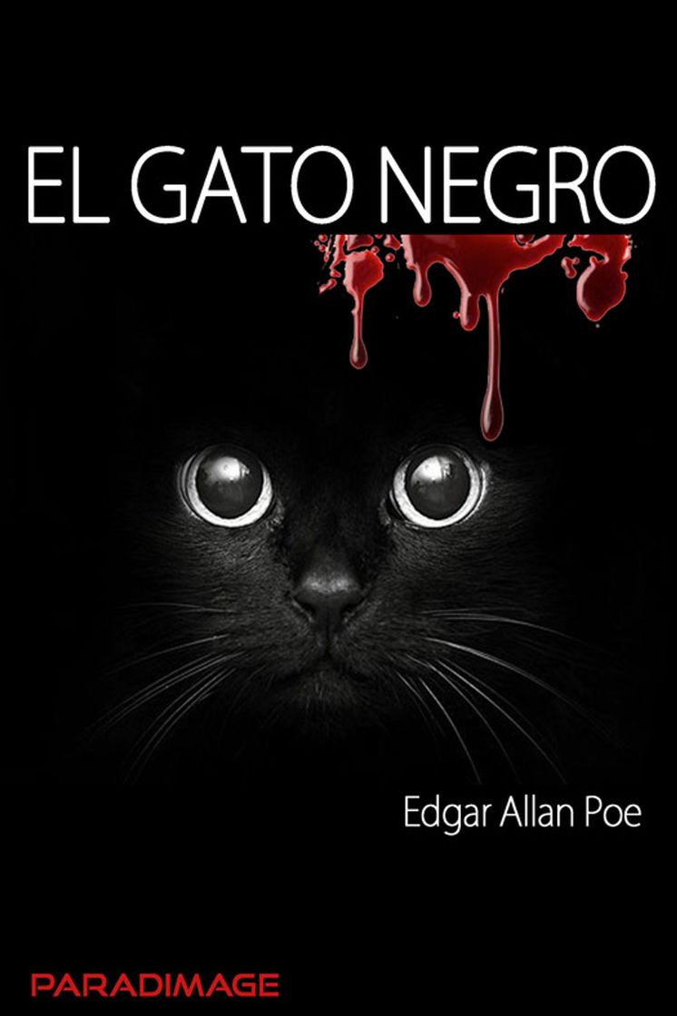 Fashion El gato negro