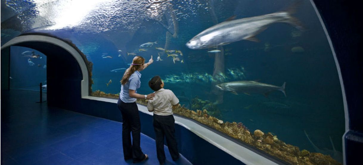 Lugar Acuario de Veracruz