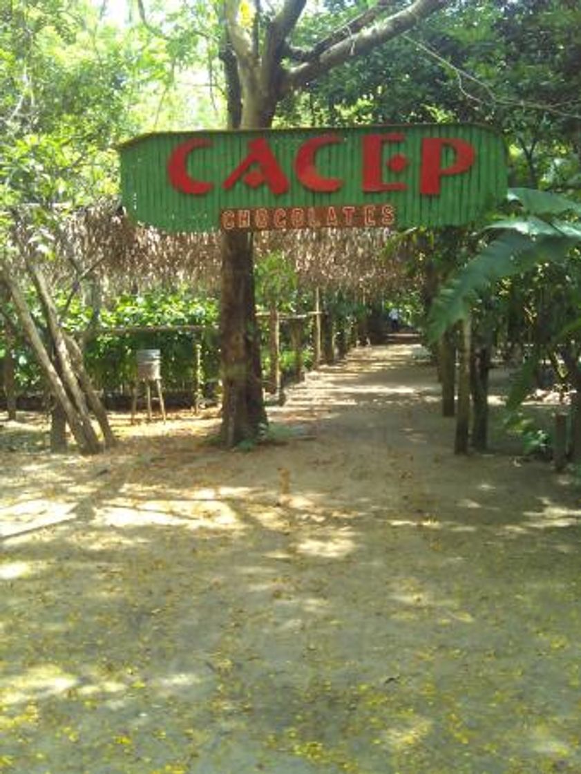 Place Hacienda Cacaotera Jesús Maria
