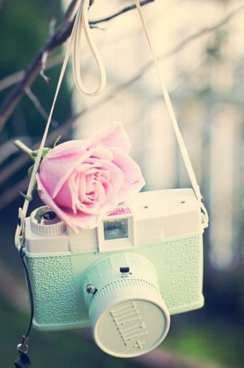 My flower cámara 