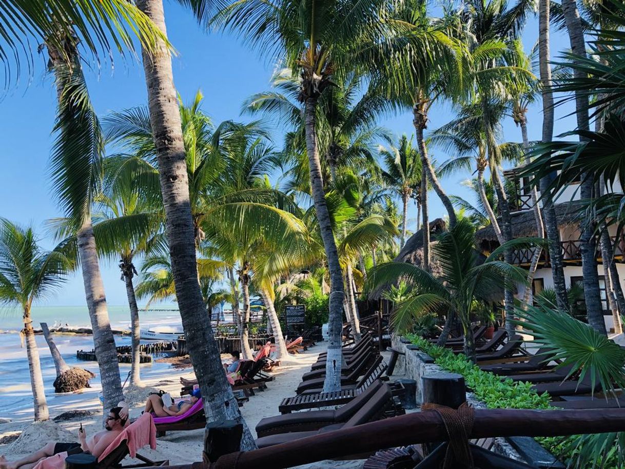 Lugar Beachfront Hotel La Palapa