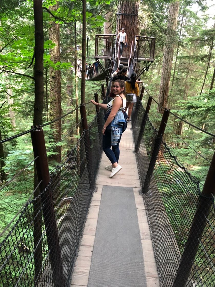 Lugar Capilano Suspension Bridge