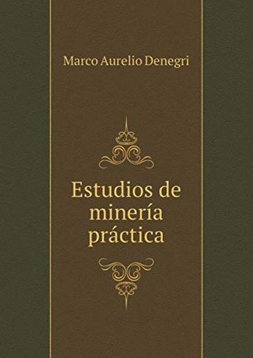 Estudios de Mineria Practica