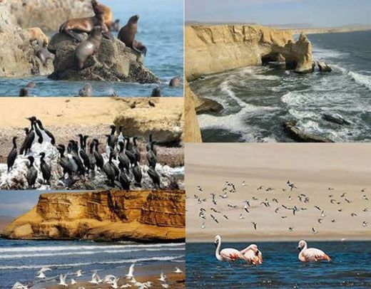 Paracas National Reserve