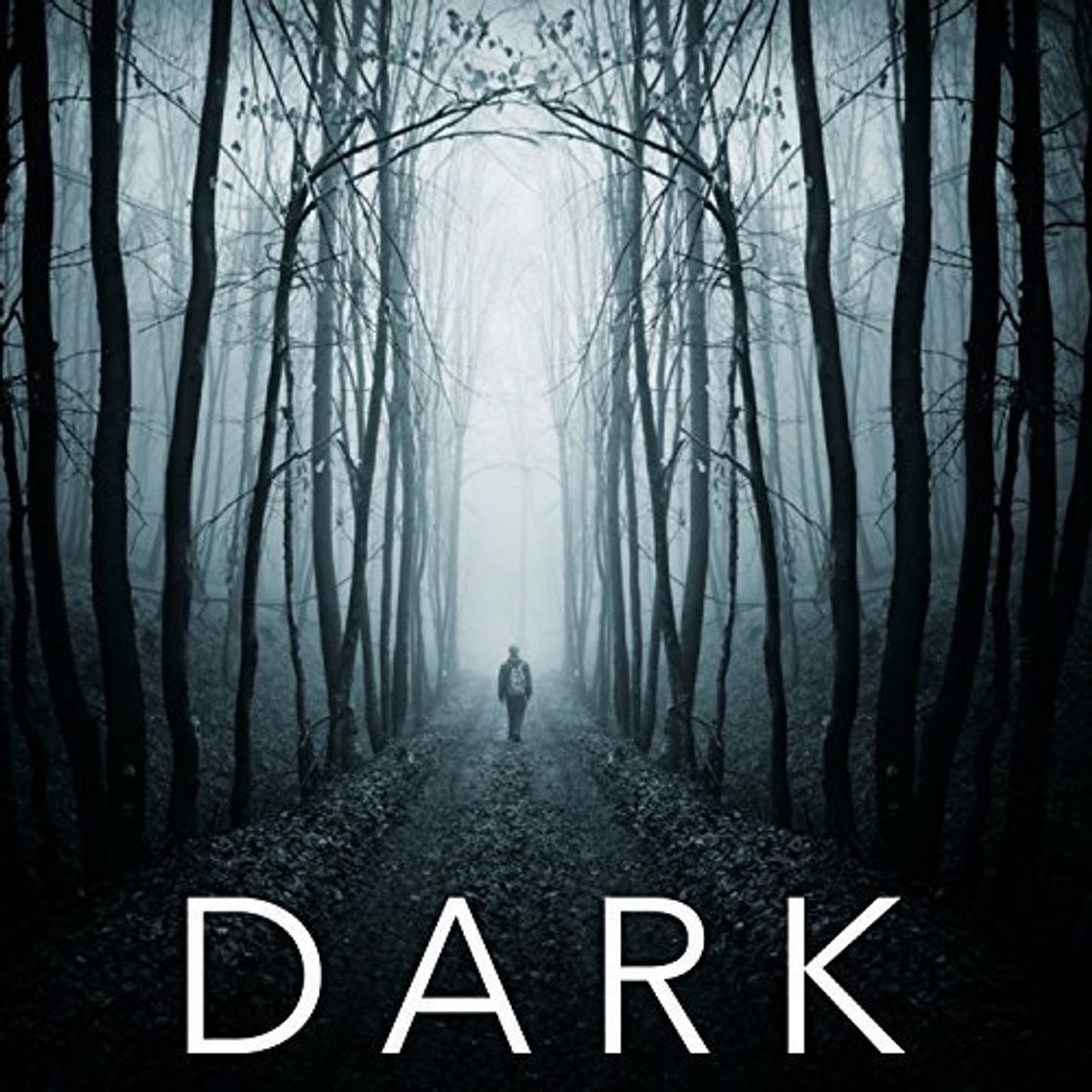 Music Goodbye (feat. Soap&Skin) [Theme from Dark, A Netflix Original Series]