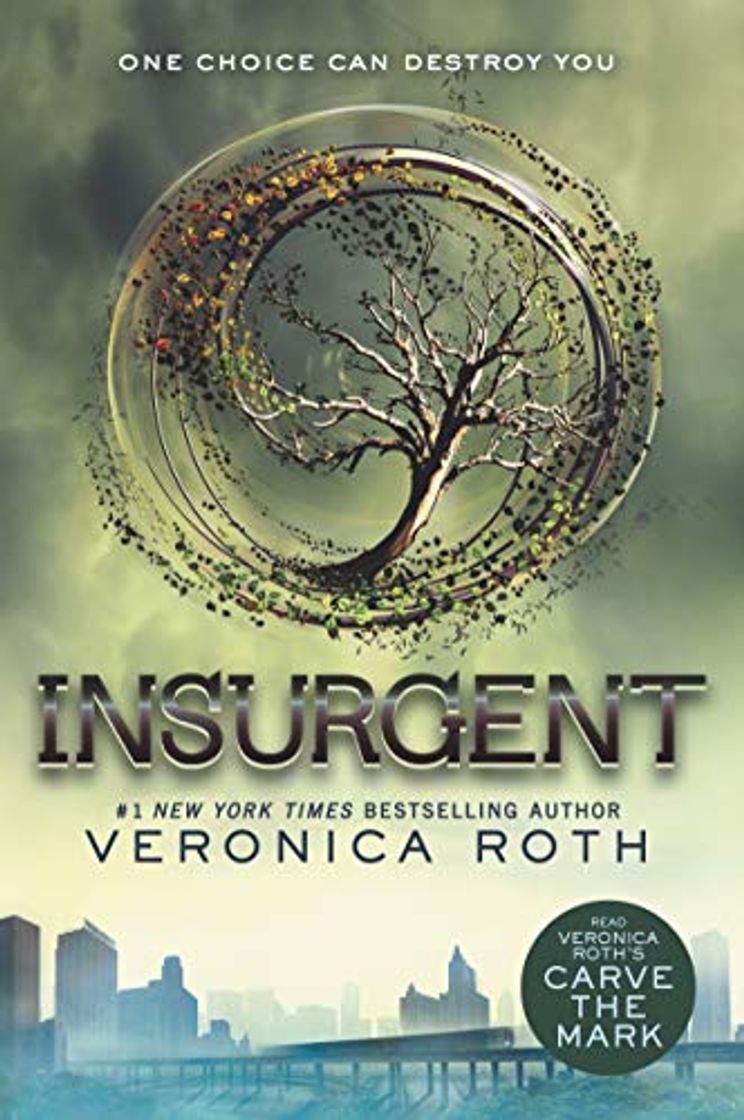 Book Divergent 2