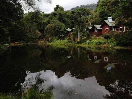 Sueños del Bosque Lodge