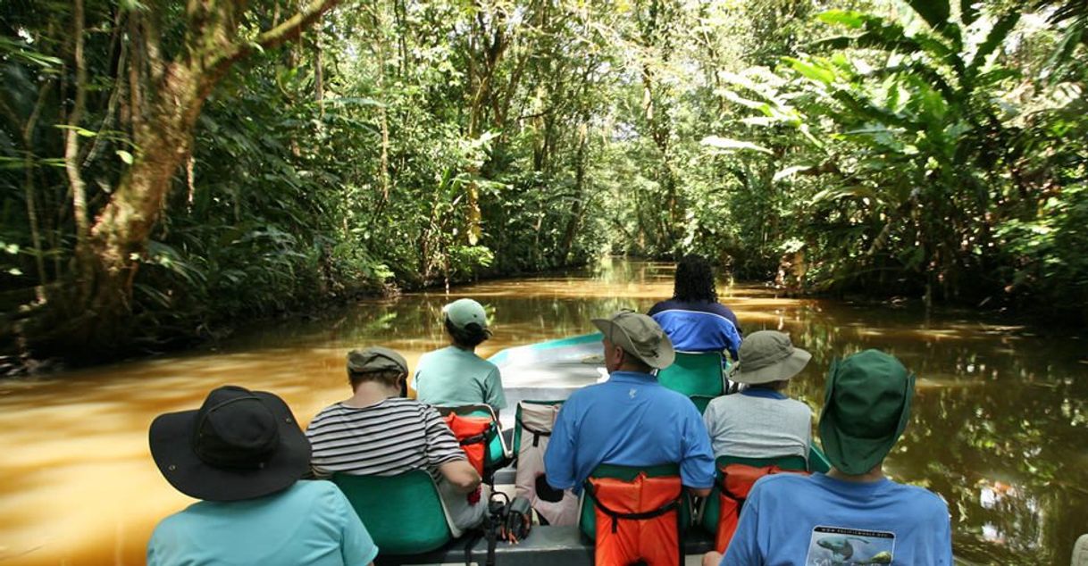 Place Tortuguero National Park