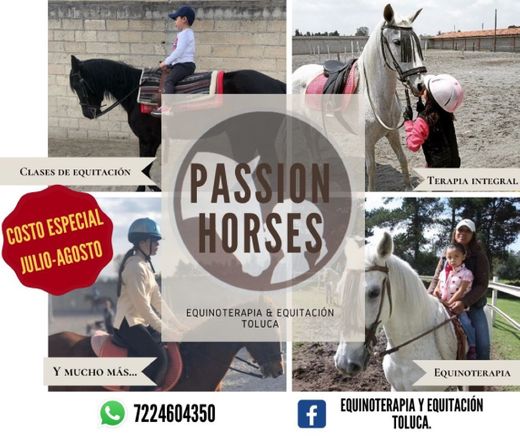 Equinoterapia y Equitación Toluca - Home | Facebook