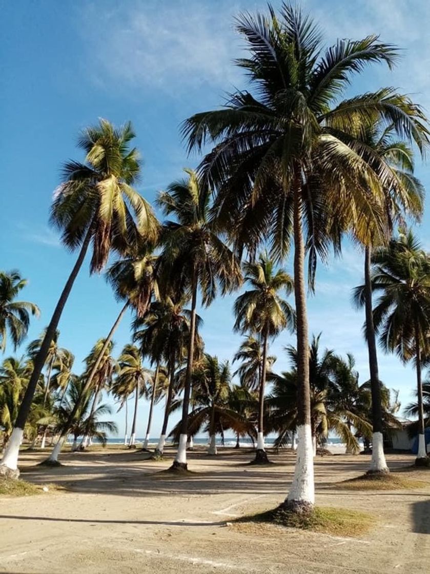 Lugar Lázaro Cárdenas Michoacán