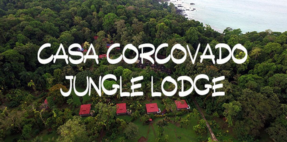 Lugares Casa Corcovado Jungle Lodge