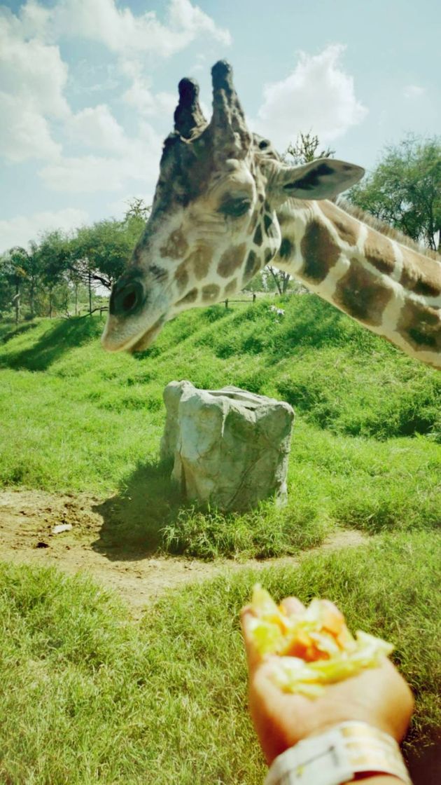 Place Zoológico Guadalajara
