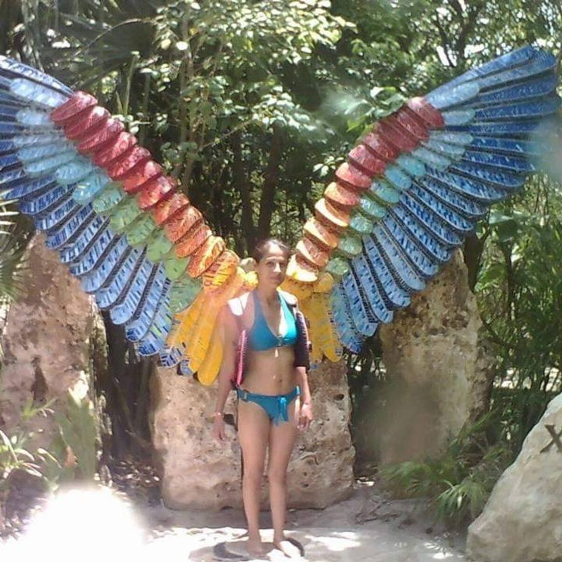 Place XCARET