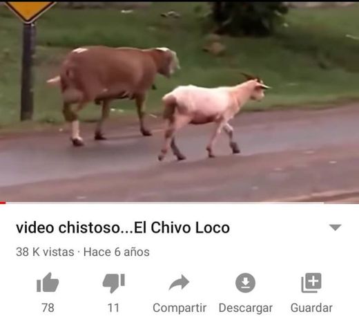 video chistoso...El Chivo Loco - YouTube