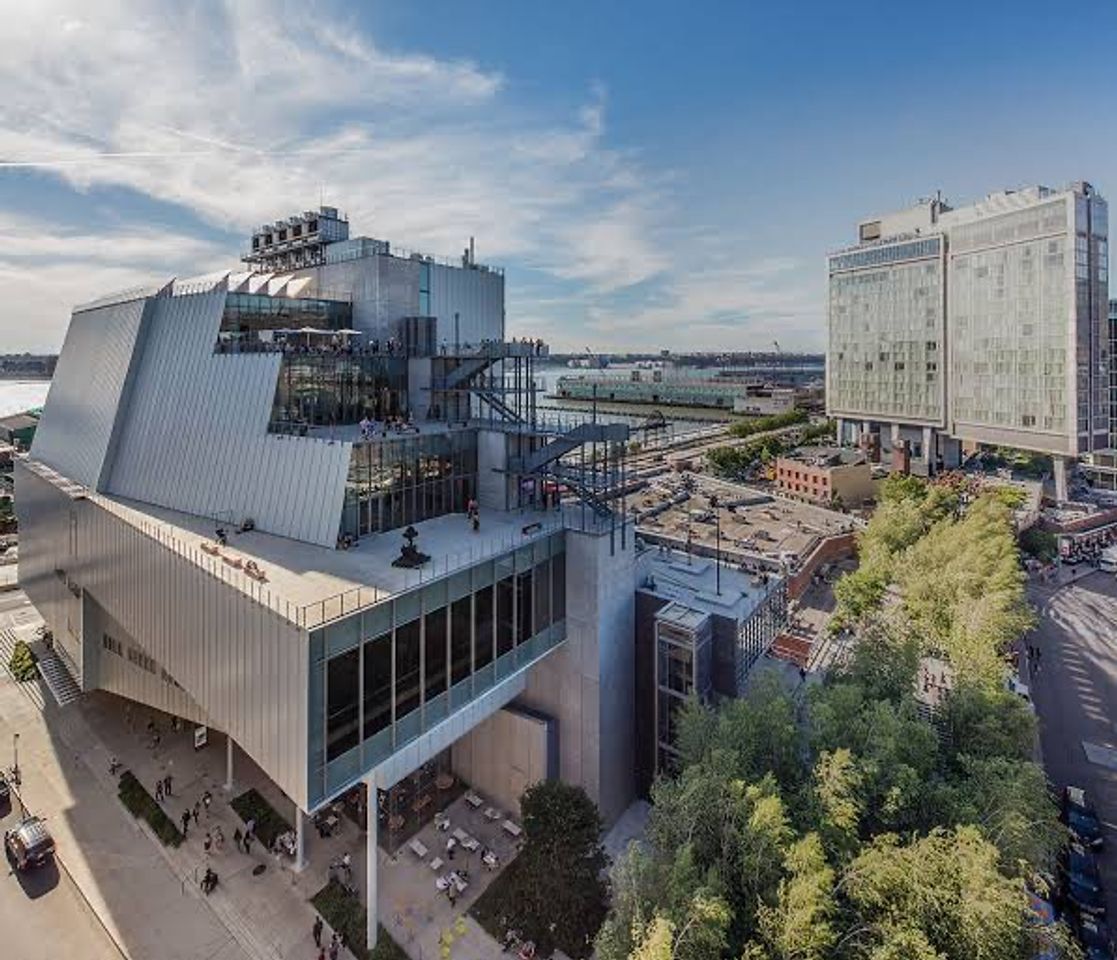 Place Whitney Museum of American Art