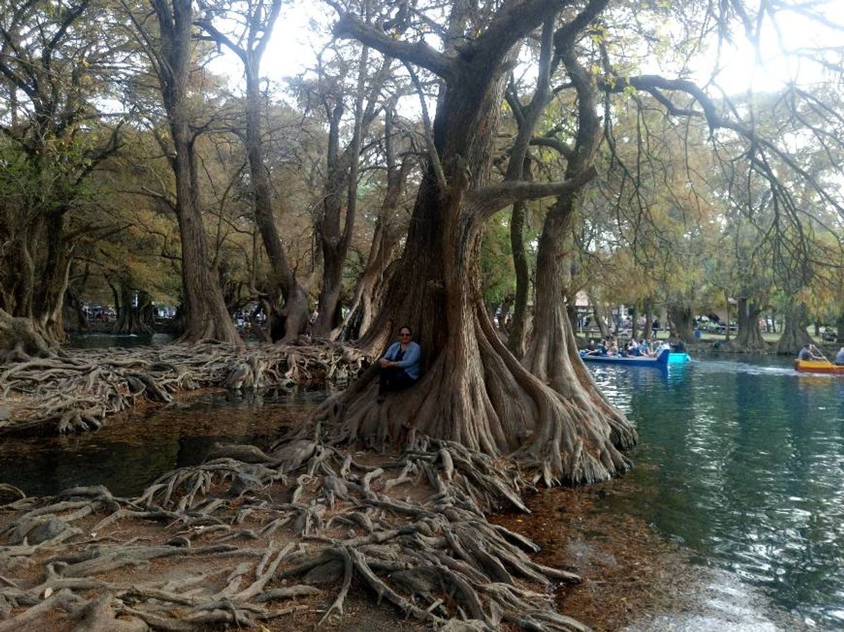 Place Camecuaro lake