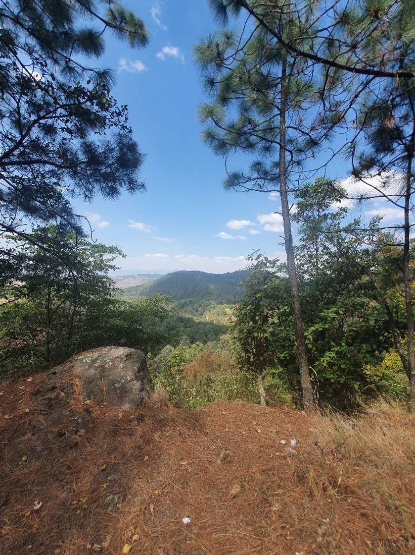 Place Sierra de Lobos