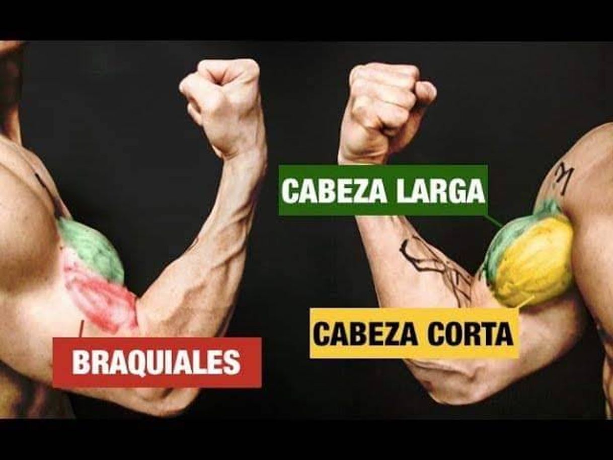 Social La Rutina PERFECTA para BÍCEPS. Sets y Repeticiones Incluida