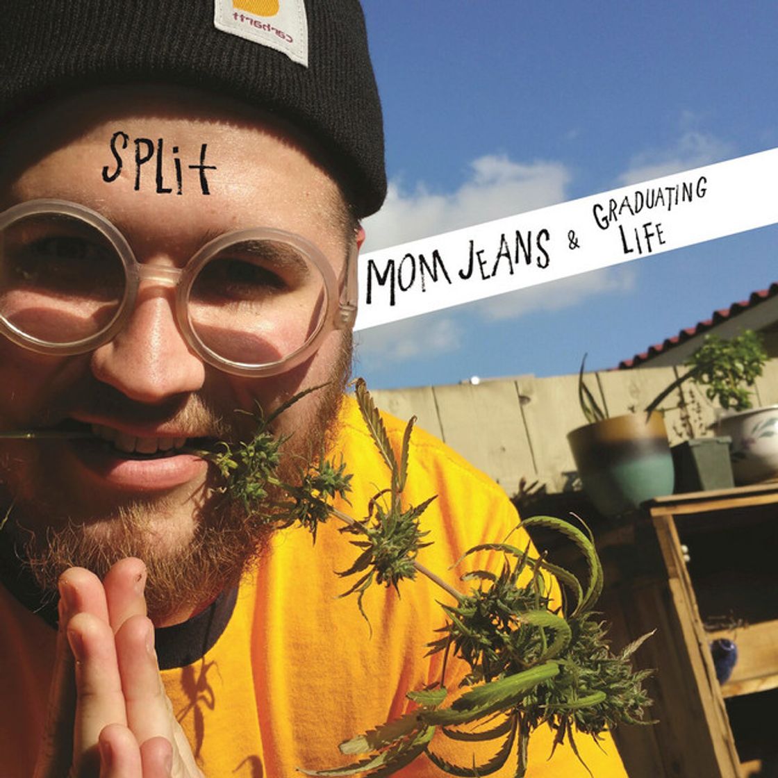 Music Metallica Rocks