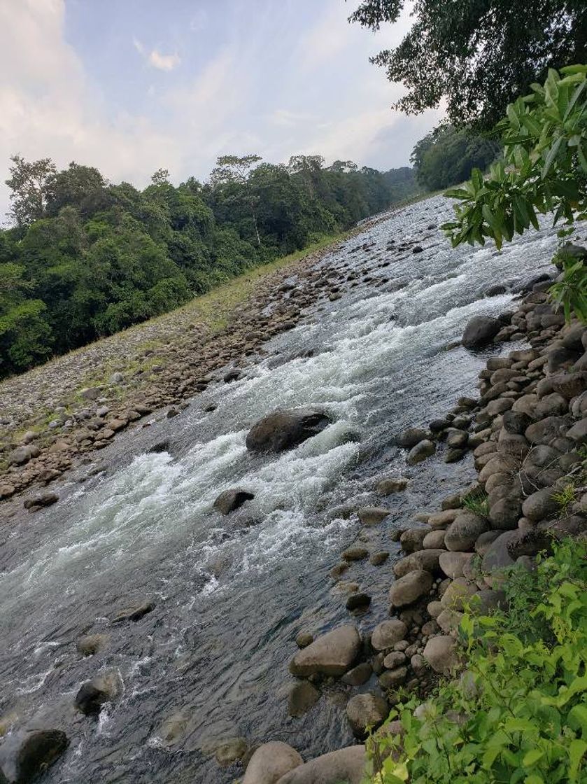 Lugar Río Sarapiquí