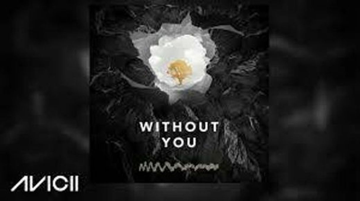 Music Avicii - Without You